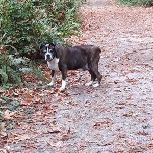 Meet your Posher, Terri